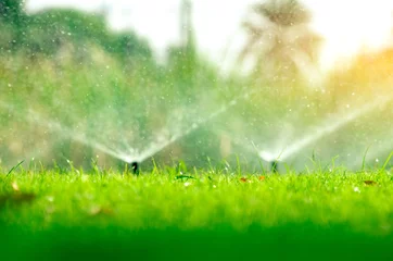 Tuinposter Automatische gazonsproeier die groen gras water geeft. Sproeier met automatisch systeem. Tuin irrigatiesysteem gazon drenken. Waterbesparing of waterbesparing door sproeisysteem met verstelbare kop. © Artinun