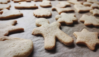 Fototapeta na wymiar homemade cookies closeup