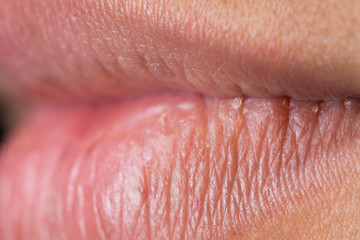 Closeup macro portrait of Man red lip, Human male open close mouth. Body Part of shaved Mustache 40s age