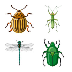 Vector design of insect and fly icon. Collection of insect and element stock symbol for web.