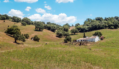 Fields of Andalusia in Spain on a sunny day