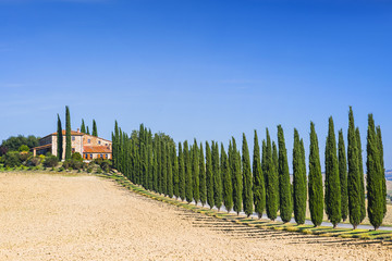 Fototapeta premium Beautiful landscape in Tuscany, Italy. Countryside rural farm with cypresses trees in Val d'Orcia region