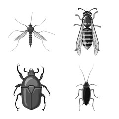 Vector design of insect and fly icon. Collection of insect and element stock vector illustration.