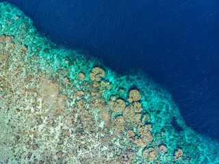 Fototapeta na wymiar Aerial top down view coral reef tropical caribbean sea, turquoise blue water. Indonesia Moluccas archipelago, Banda Islands, Pulau Hatta. Top travel tourist destination, best diving snorkeling.