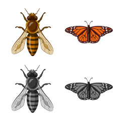 Isolated object of insect and fly icon. Collection of insect and element stock symbol for web.