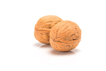 Two native walnuts, close up macro, isolated on a white background.