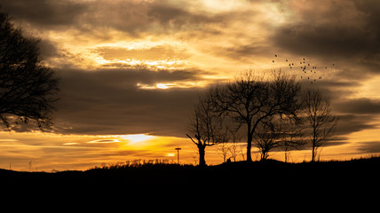 Feld-landschaft als Silhouette bei Sonnenuntergang