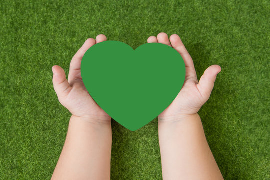 The Green Heart In The Hands Of A Child On A Background Of Green Grass. Love, Family, Ecology.