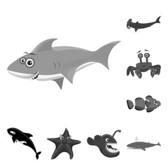 Vector illustration of sea and animal icon. Set of sea and marine stock vector illustration.