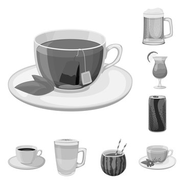 Vector illustration of drink and bar logo. Collection of drink and party stock vector illustration.