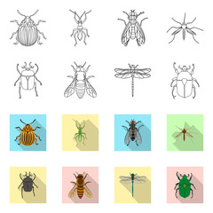 Fototapeta na wymiar Isolated object of insect and fly symbol. Collection of insect and element stock vector illustration.