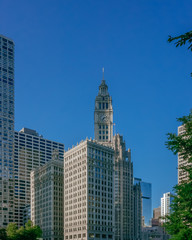 Fototapeta na wymiar Buildings and clock tower in downtown Chicago, USA
