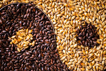 malt yin yang symbol