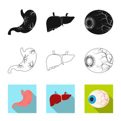 Isolated object of body and human symbol. Set of body and medical vector icon for stock.