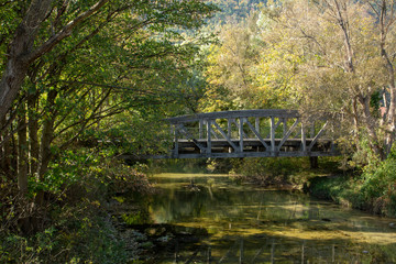 Brücke über Fluss im grünen