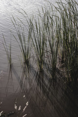 Natural scenery,Temple