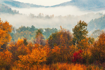 Obrazy na Szkle  Mglisty jesienny krajobraz