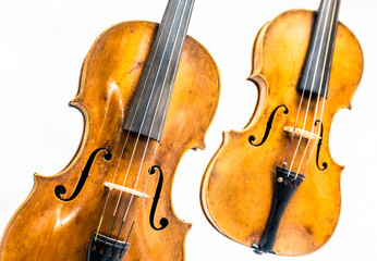 Fototapeta premium violins