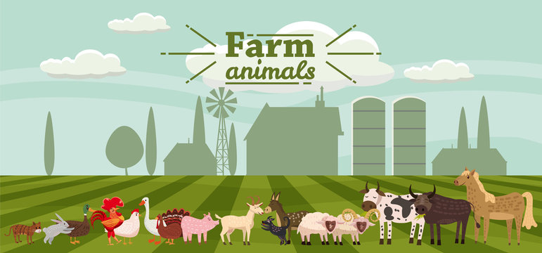 Farm animals and birds set in trendy cute style, including horse, cow, donkey, sheep, goat, pig, rabbit, duck, goose, turkey, rooster,ram, dog, cat, bull and chicken, isolated on rural landscape, farm