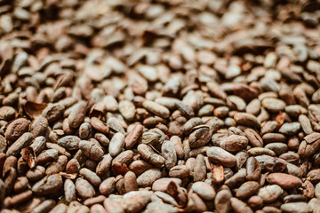 cocoa beans background, chocolate factory