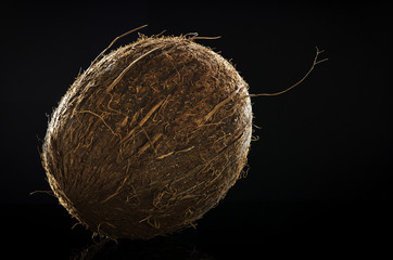 Whole ripe coconut close up with a well pronounced texture