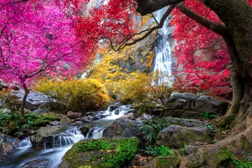 Fotobehang Waterval De Khlong Lan-waterval is een prachtige watervallen in de regenwoudjungle Thailand  © CasanoWa Stutio