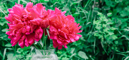 red peonies, valentine's day, mother's day, spring