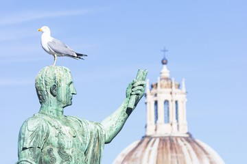Statue of emperor Caesar Nervae August with gull on the head. Man taking selfie. Humor concept