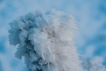 Frozen covered with ice and snow piece of wood