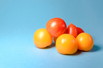 group of fresh yellow and red tomatoes