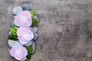 Fototapeta na wymiar Spa flowers and massage stone, on grey background.