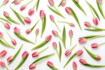 Behang Pink tulip pattern on the white bacjkground. © gitusik