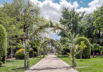 Garden of the Retiro Park in Madrid in spring