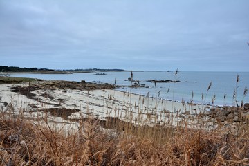 Paysage de Bretagne à Landrellec
