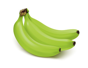 Bunch of green bananas isolated on white background. Vector 3d illustration - 241403333