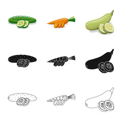 Isolated object of vegetable and fruit logo. Set of vegetable and vegetarian stock vector illustration.