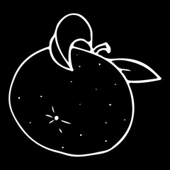 Vector hand drawn outlined mandarin. White contour sketch isolated on black background. Citrus design elements.