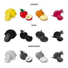 Vector design of vegetable and fruit symbol. Collection of vegetable and vegetarian stock symbol for web.