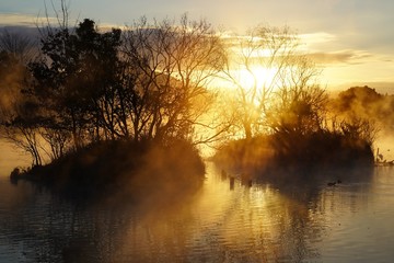 新年の日の出を迎える浮島周辺水辺公園