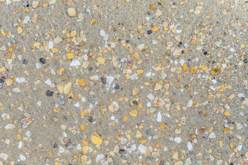 Surface of wet sand with fragments of shells