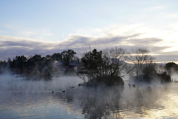 Fototapeta premium 新年の日の出を迎える浮島周辺水辺公園