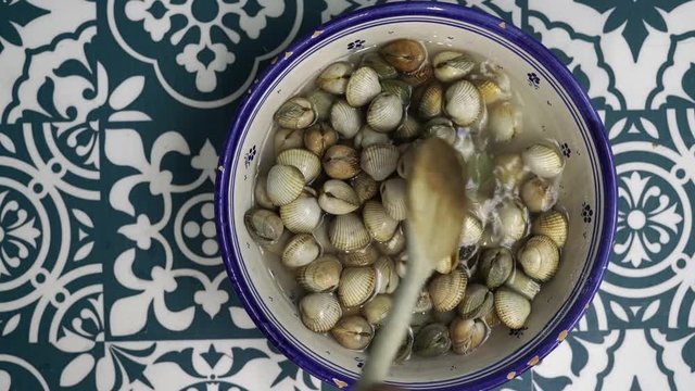 Cockles surrounded by blue and white background