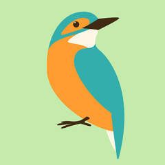  bird kingfisher, vector illustration ,flat style