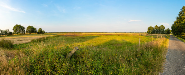 field with trees and blue sky