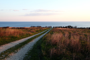 Dirt road through the field to the sea