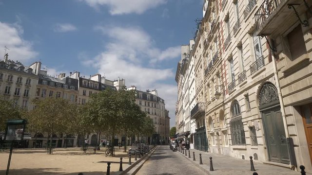  Paris street tree old slowmotion 4k