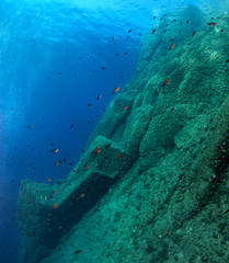 Naklejka na ściany i meble Underwater scenery. Mediterranean sea. 