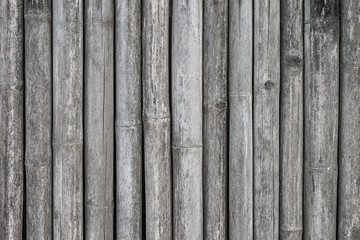 bamboo wall background from nature.