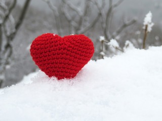 Red knitted heart in the snow on winter forest background, Valentines day card. Symbol of romantic love, concept of blood donation, cold weather