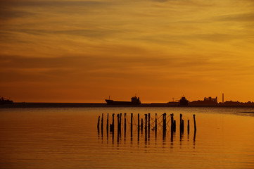 muelle